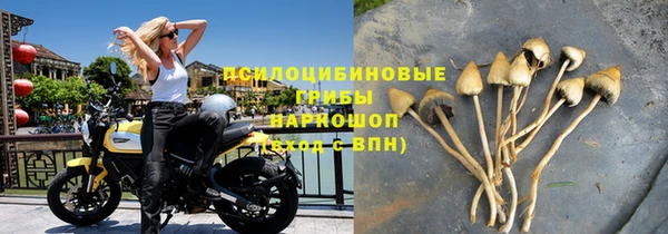 a pvp Алексеевка