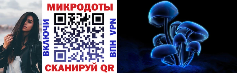 как найти закладки Бийск кракен онион Галлюциногенные грибы Psilocybine cubensis