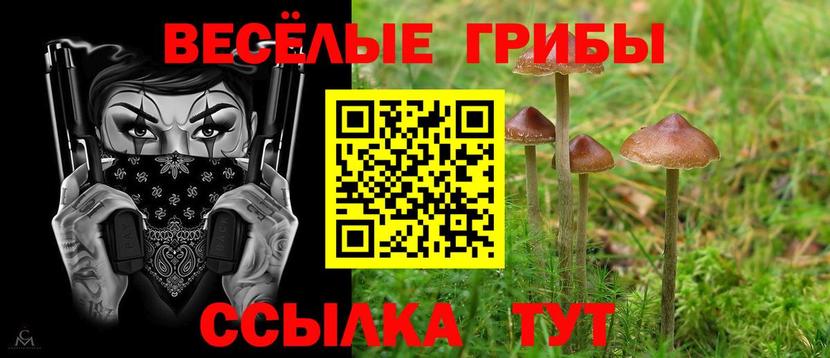 Псилоцибиновые грибы мицелий  цены наркотик  Бийск  Вход с VPN 